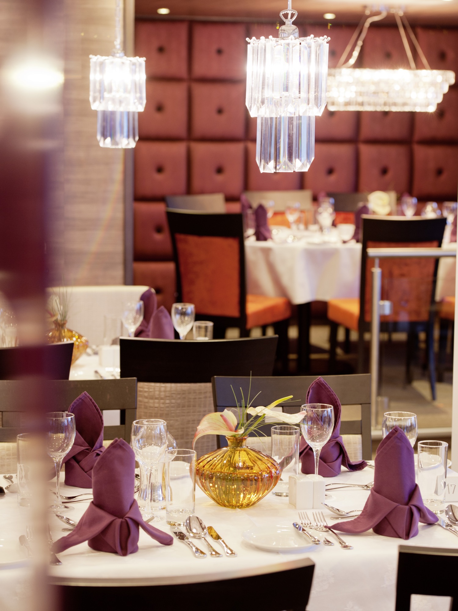 Amadeus Waterways 08 Amadeus Silver_Restaurant.jpg